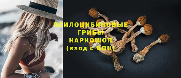 марки lsd Бородино