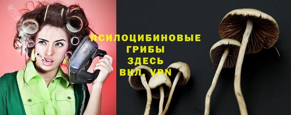 марки lsd Бородино