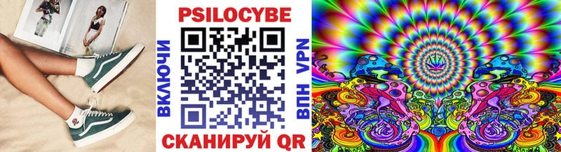 Псилоцибиновые грибы Psilocybe  магазин  наркотиков  Нарткала 